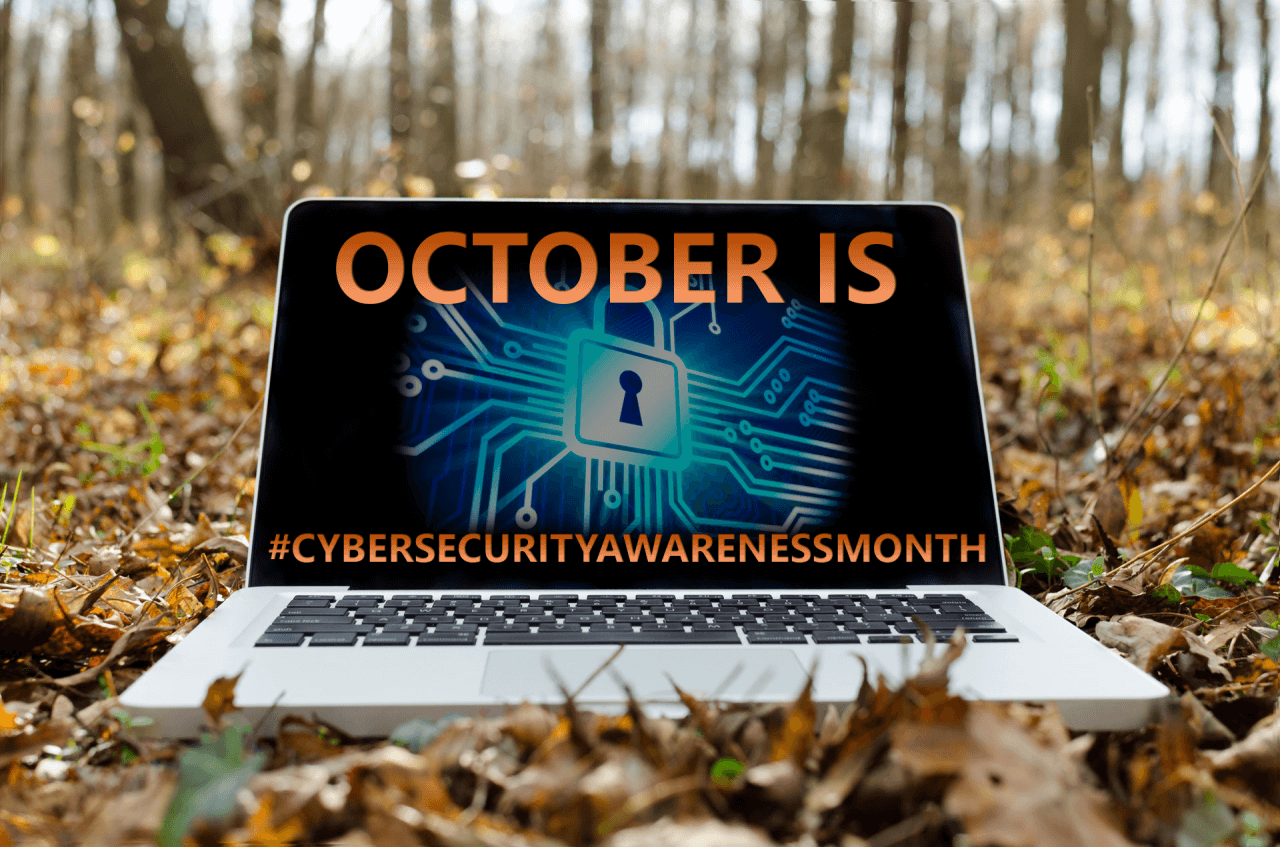 Cyber-Security-Month