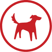 Redtail logo