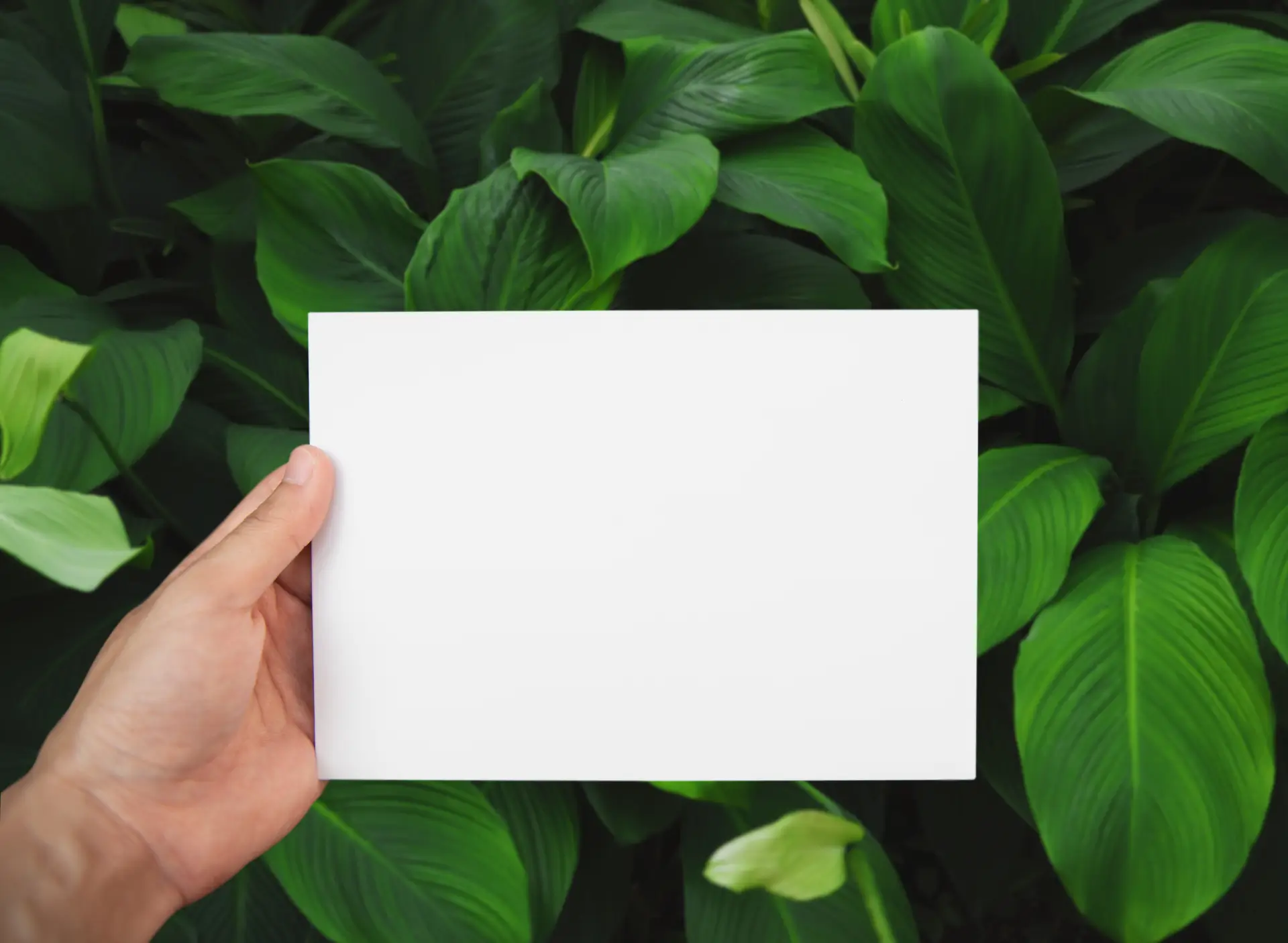 Environmentally-Friendly-Solutions